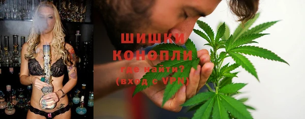 шишки Бронницы