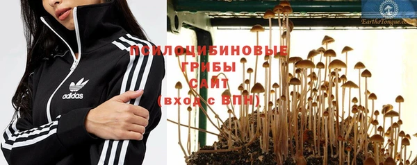 шишки Бронницы