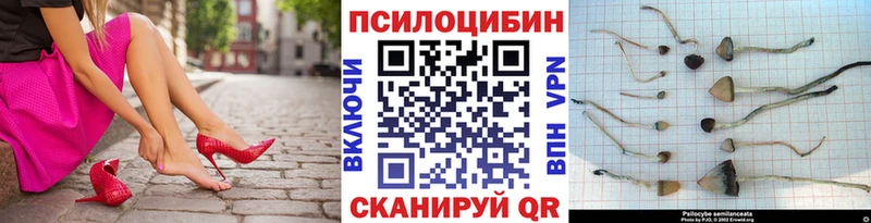 Галлюциногенные грибы мухоморы  кракен вход  Юрьевец 
